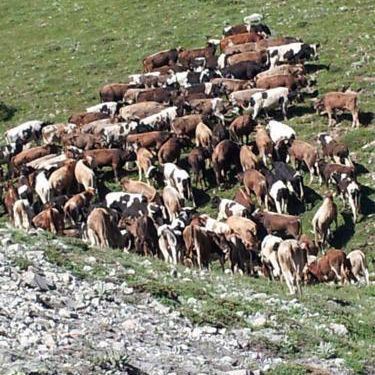 Hakkımızda